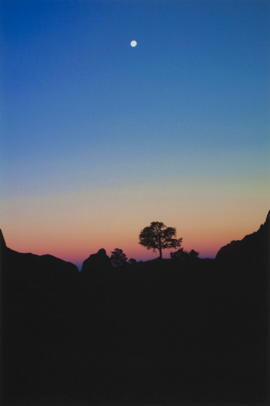 A color photograph of the moon high in a deep blue sky above mountains and trees silhouetted against a purple and yellow sunset.