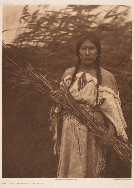 A sepia-toned photograph of an Indigenous woman, hair in braids and wearing a traditional dress, holding a large bundle of grasses in her hands.