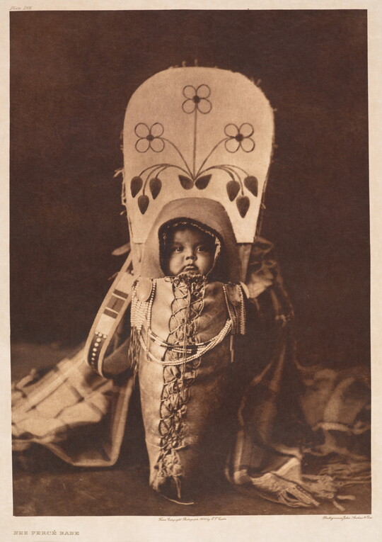 A sepia-toned portrait photograph of an Indigenous baby in a large cradleboard.