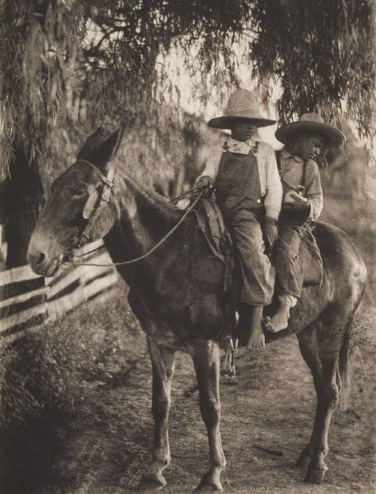 A black-and-white photograph of two Black boys wearing straw hats, riding on a mule on a fence-lined dirt road.