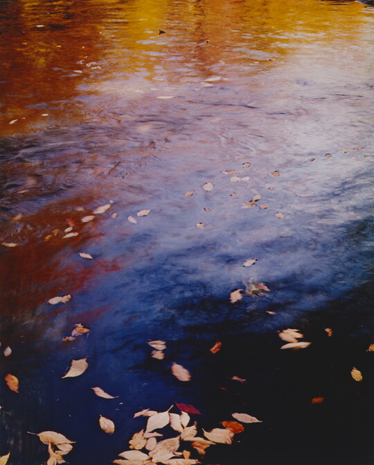 A color photograph of water reflecting autumn trees and fall-colored leaves floating on the water's surface.