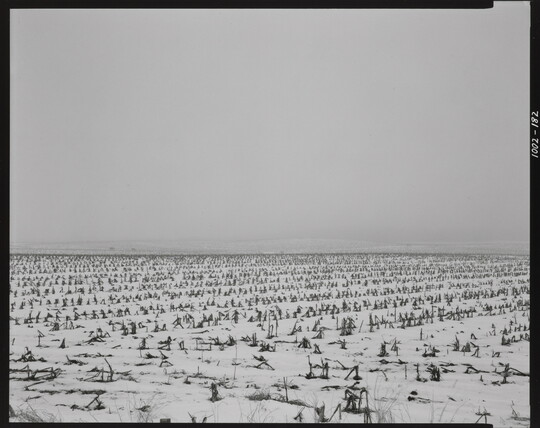 A black-and-white photograph of a flat landscape with snow partially covering dead crops under a cloudy sky.