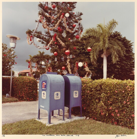 A color photograph of two blue mailboxes next to a large Christmas tree with a palm tree in the background.