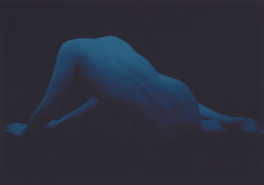 A monochromatic blue photograph of a nude figure, seen from behind, that is half reclined and propped up on their hands.