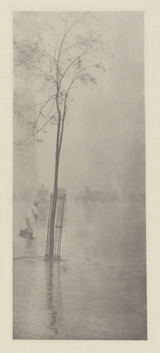 A soft-focus, black-and-white photograph of a tree growing in the middle of wet pavement with a person in the distance.