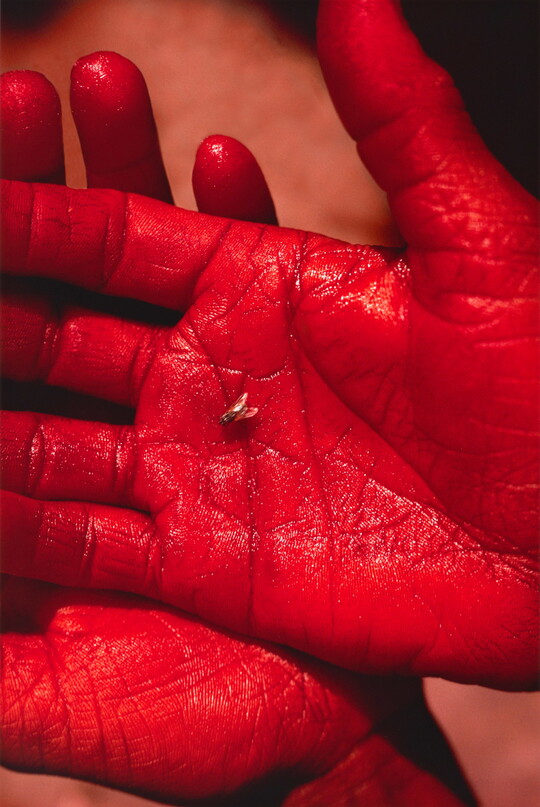A color photograph of two vibrantly red-dyed hands stacked on each other with a fly in the palm of top hand.