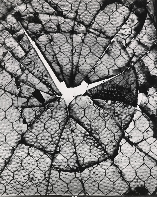 A black-and-white abstract photograph of light coming through textured glass reinforced with wire that has shattered into a pattern resembling a tree ring.