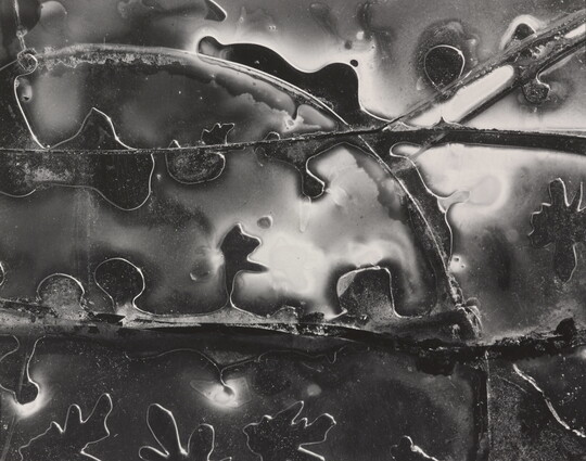 A black-and-white abstract photograph of glossy and transparent shapes and lines.