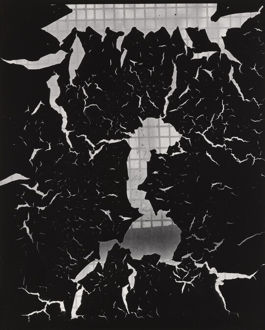 A black-and-white abstract photograph of black abstract shapes suspended in front of a gridded background.