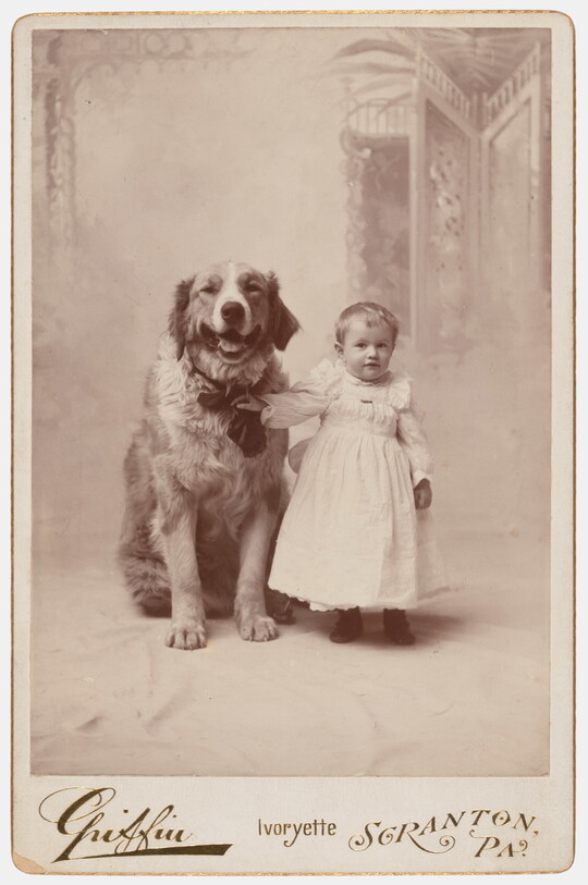 A black-and-white studio photograph of a White toddler in a white dress standing next to a large dog and holding onto its collar. 