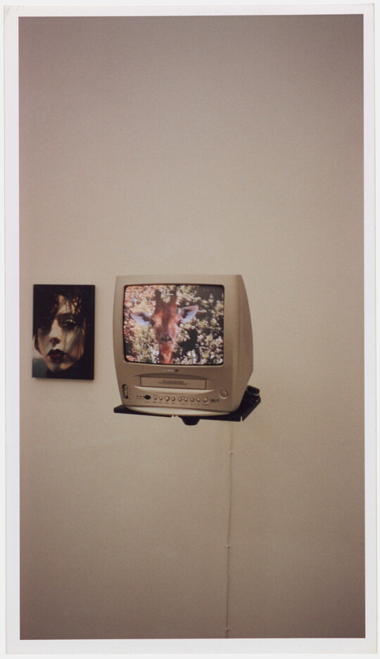 A color photograph of a photograph of a person's face mounted on a wall next to an old-style tv/VCR color screen on a shelf showing the head of a giraffe.