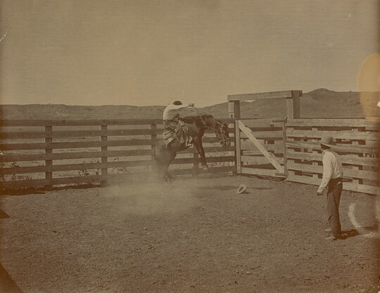 A black-and-white photograph of a man trying to stay seated on his rearing horse in a corral as another man watches.