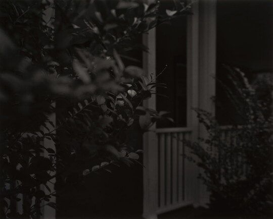 A black-and-white photograph of a porch viewed through the leaves of bushes at night.