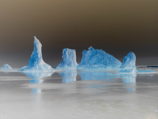 A color photograph of blue icebergs trapped in smooth gray ice in front of a dark gray sky.