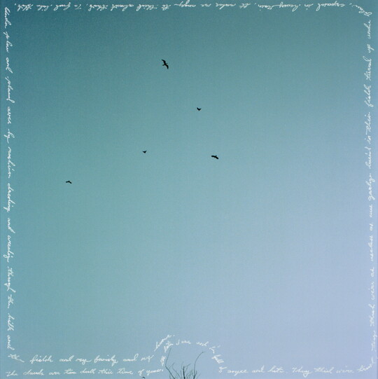 A square, color photograph of dark birds in a blue sky with the title words written in white around the perimeter.