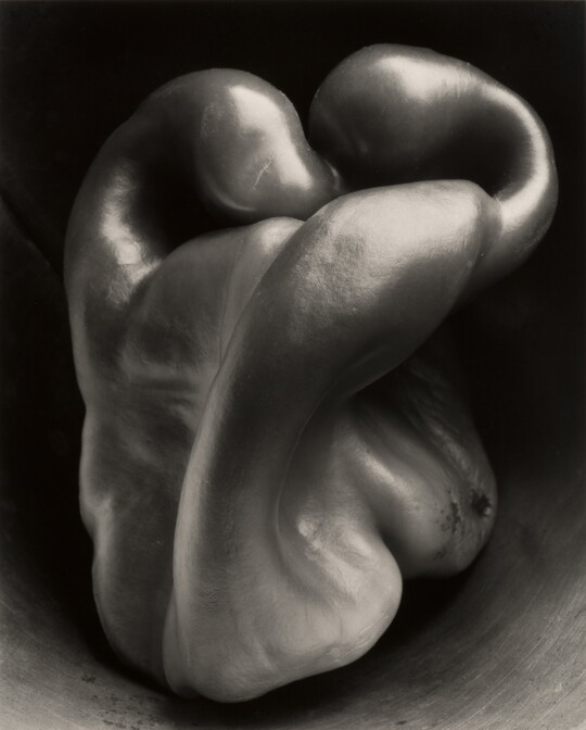 Edward Weston | Amon Carter Museum of American Art
