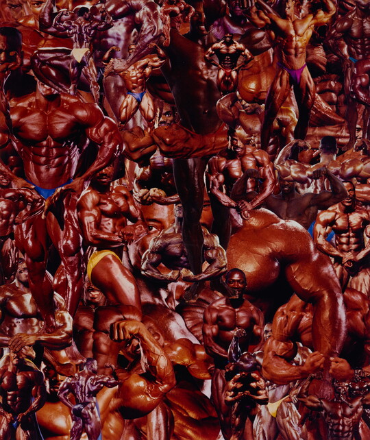 A color photo-collage of the body parts, including arms, legs, torsos, backs, shoulders, of Black body builders.