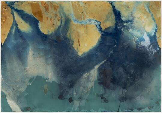 An abstract color photograph of leaves and plants trapped in the ice of a stream.