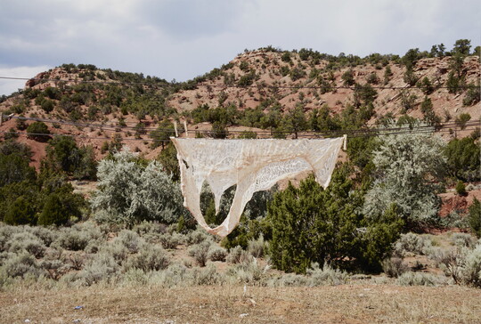 A color photograph of a semi-transparent animal skin hanging on a clothesline in front of a shrubby and rocky desert hillside.