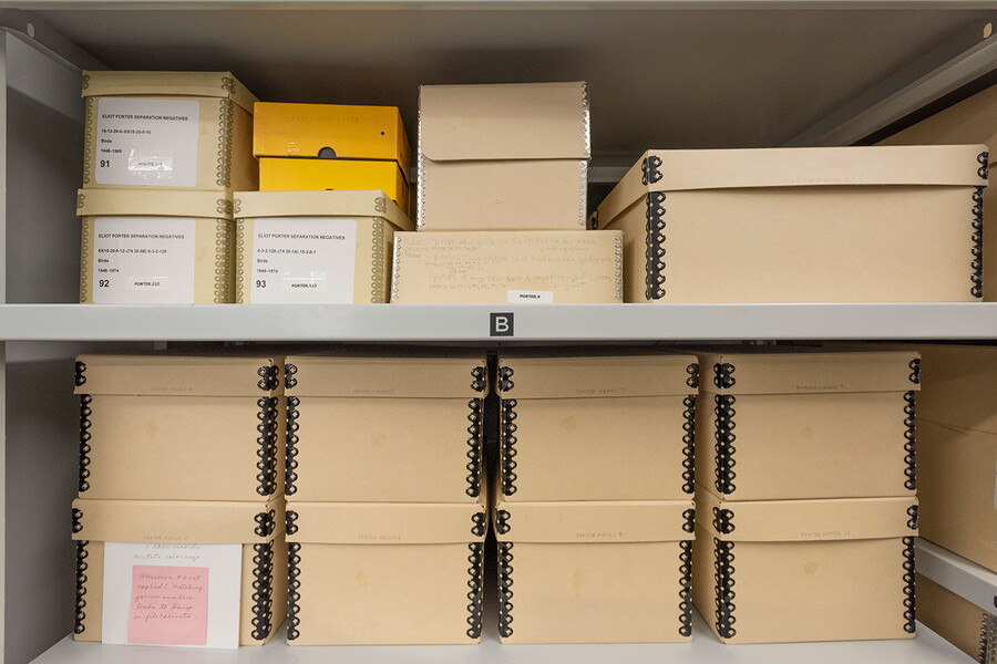 Storage shelves with acid-free boxes in various sizes. 