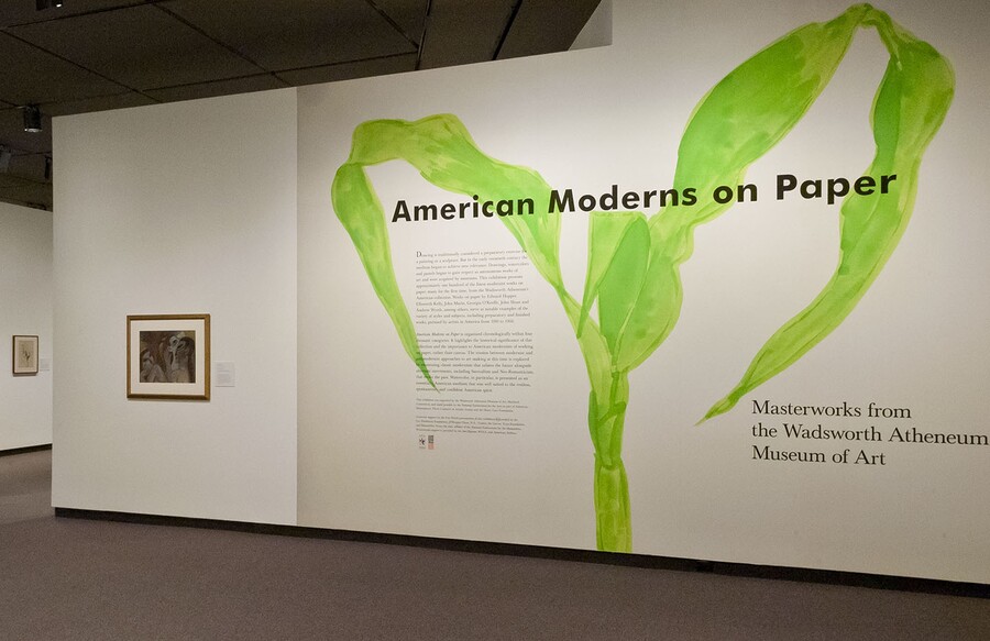 Exhibition title wall. Wall is white with a large green plant stem behind the exhibition title; to the left is a framed print.