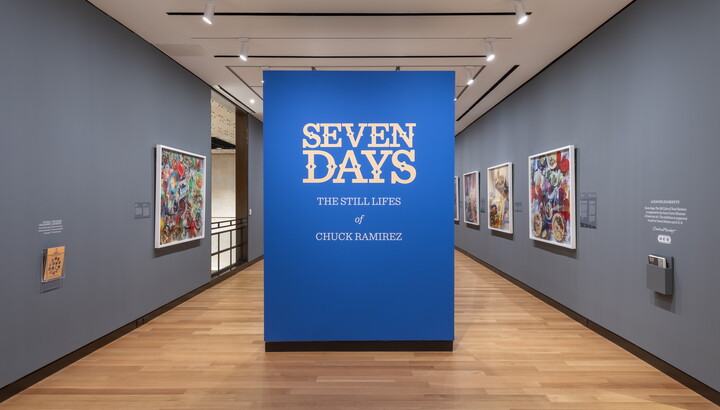 The blue title wall for the exhibition "Seven Days" at the Carter.