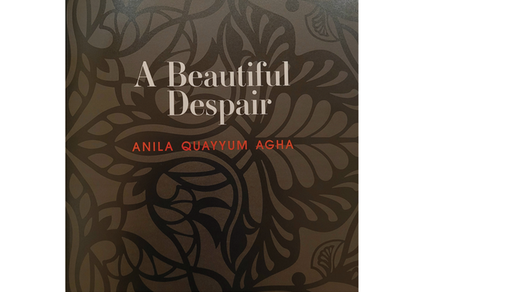 Cover of exhibition catalogue for "A Beautiful Despair."