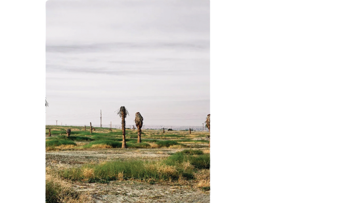 The cover of the catalogue for the exhibition "Discarded."