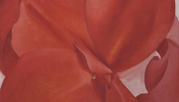 An oil painting of an extreme close up, abstracted view of a red flower.
