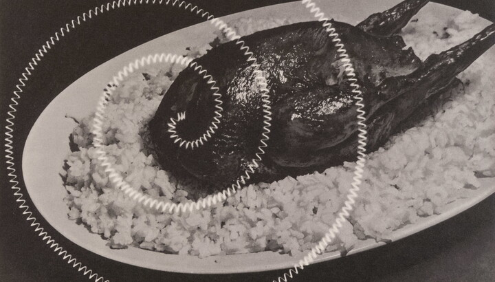 A black-and-white photograph of roasted poultry on a bed of white rice with an electric coil spiraled over it.