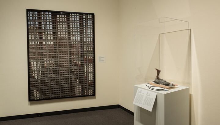 Border Cantos: Richard Misrach | Guillermo Galindo | Amon Carter