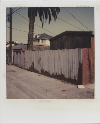 A color Polaroid photograph of a sidewalk, faded fence, telephone pole, palm tree, and the roofs of houses and other structures.