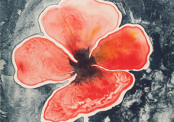 An abstract color print of a single red flower with a black and gray background.