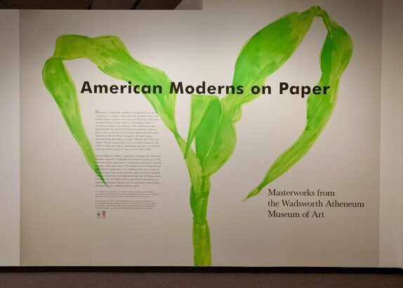 Exhibition title wall for &quot;American Moderns on Paper&quot;.