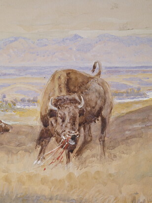 A detail of a watercolor of a mounted Native American confronting a steer.