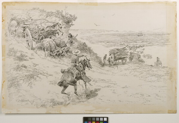 A black-and-white drawing of a cowboy directing ox-pulled carts carrying cowhides down a hill.