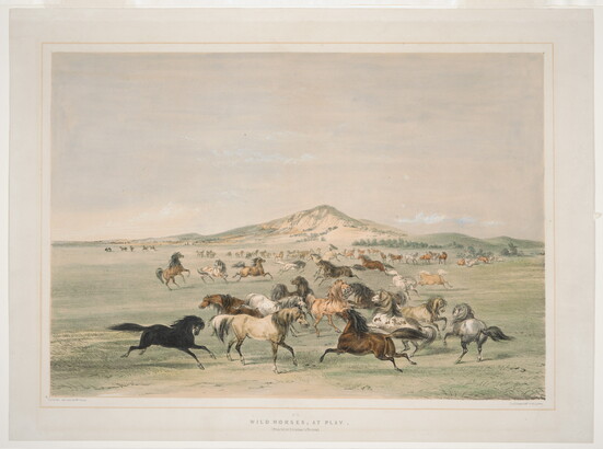A color print of horses of many different colors and patterns running and playing in a field.