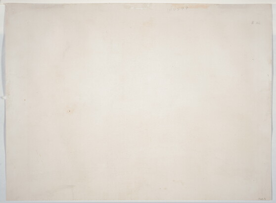 A color print of horses of many different colors and patterns running and playing in a field.