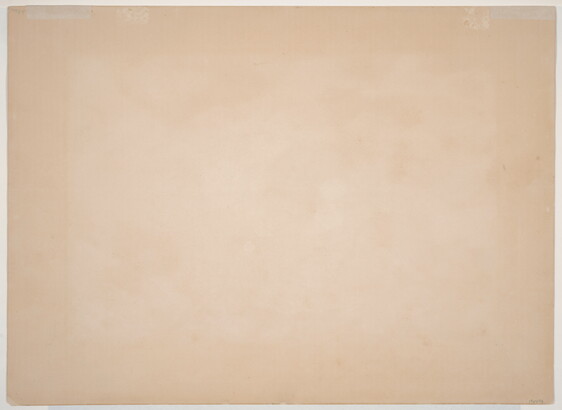 A color print of a single bison standing in a field.