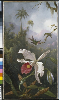 An oil painting of two hummingbirds on a twig above a white orchid in a jungle setting.