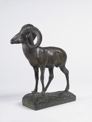 A bronze sculpture of a bighorn sheep.