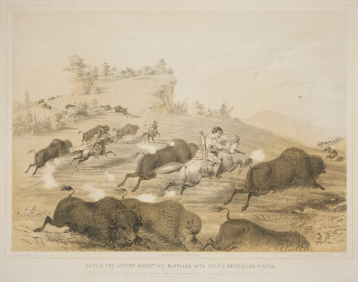 A color print of a White man on horseback shooting a revolver at a running bison in a herd; in the background, Native Americans on horseback use arrows and spears to hunt bison.