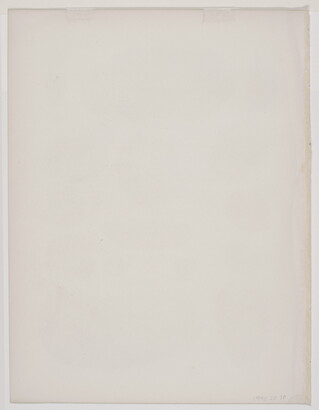 A black-and-white print of various plant fossils shown from different angles.