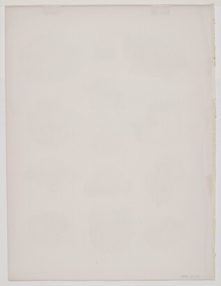 A black-and-white print of various fossils shown from different angles.