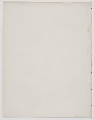 A black-and-white print of various fossilized impressions of plant stems and leaves.