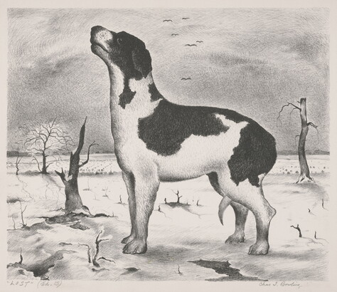A black-and-white print of a black-and-white dog, tail tucked between its legs, standing alone outside in a desolate landscape.