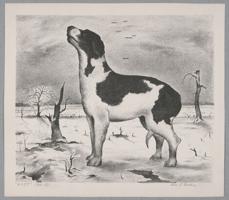 A black-and-white print of a black-and-white dog, tail tucked between its legs, standing alone outside in a desolate landscape.