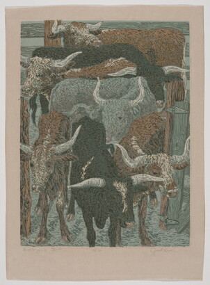 A color print of black, brown-and-white, and gray longhorn bulls in a pen.