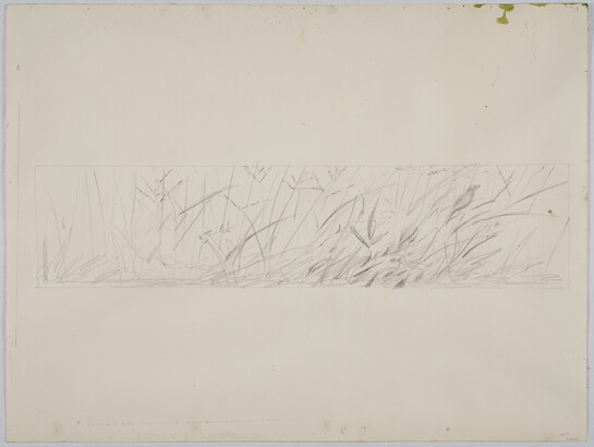A very faint, black-and-white line drawing of a small bird perched in tall grass.