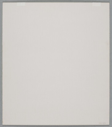 A black-and-white close-up photograph of twisted white tree roots growing out of dark soil.